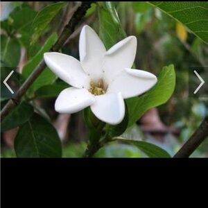 Meet your Posher, Staci